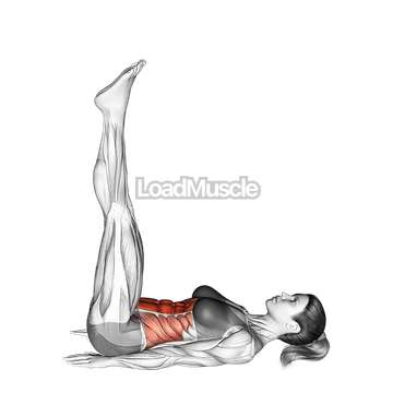 Hip Lift - Low Back Off Floor