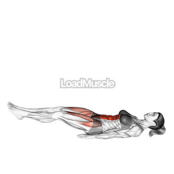 Leg Raise Slightly Bent Knee