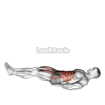 Leg Raise Hip Lift with Head up