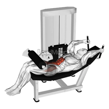 Lever Lying Leg Raise Bent Knee