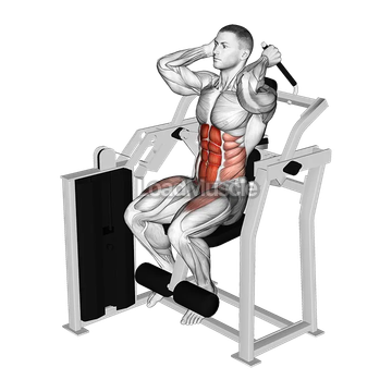 Lever Total Abdominal Crunch