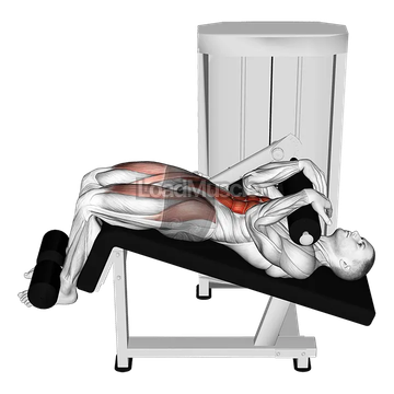 Lever Decline Sit up