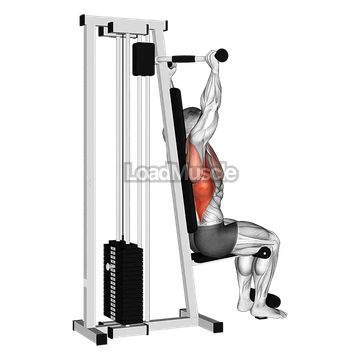 Lever Cable Rear Pulldown