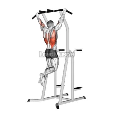 Wide Grip Pull Up on Dip Cage