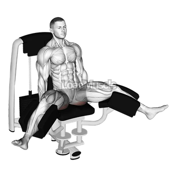 Lever Seated Hip Adduction