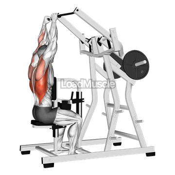 Lever Lateral Pulldown (plate loaded)