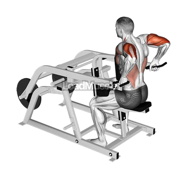 Lever Triceps Dip (plate loaded)