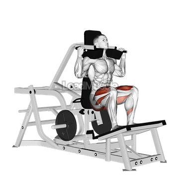 Lever Squat (plate loaded)