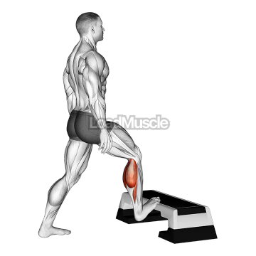 Standing Toe Up Achilles Stretch