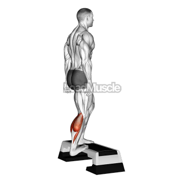 Single Heel Drop Achilles Stretch