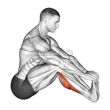 Sitting Toe Pull Achilles Stretch