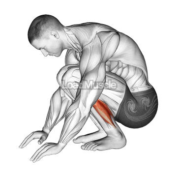 Squatting Achilles Stretch