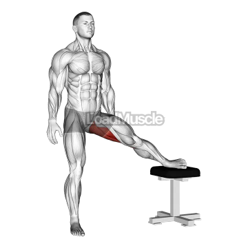 Standing Leg Up Adductor Stretch