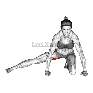 Kneeling Leg Out Adductor Stretch