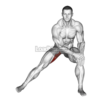 Side Lunge Adductor Stretch