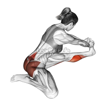 Seated Hip Stretch With Opposite Leg From Behind