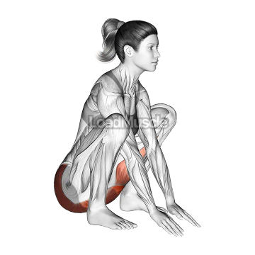 Hip And Knee Flexion Squatting Stretch