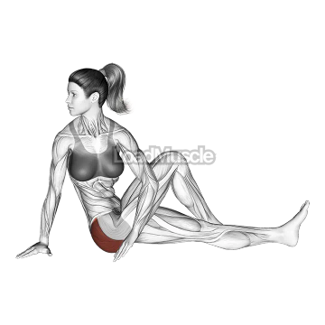 Seated Knee Up Rotation Stretch