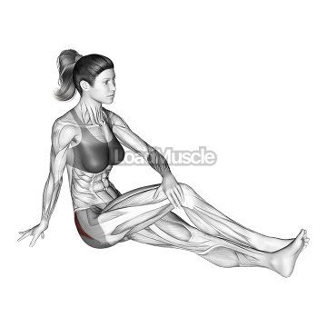 Seated Hip Stretch With Slightly Bent Leg