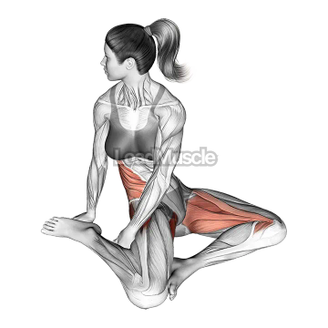Sitting Rotational Hip Stretch