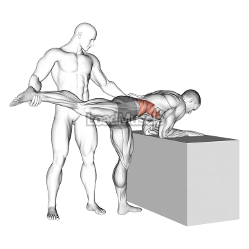 Assisted One Leg Extension