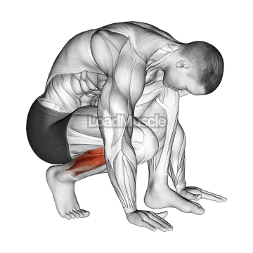 Squatting Toe Stretch