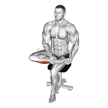 Seated Toe Extensor And Foot Everter Stretch