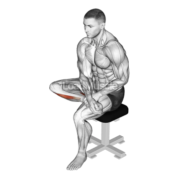 Seated Toe Flexor And Foot Everter Stretch