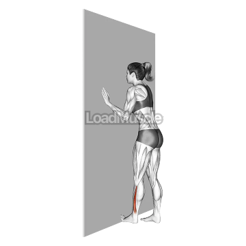 Standing Toe Flexor Stretch