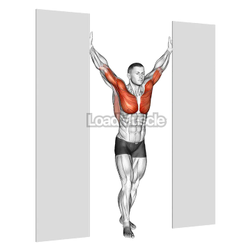 Standing Upright Shoulders Stretch