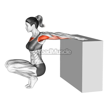 Reverse Shoulder Stretch