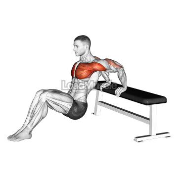 Sitting Shoulders Stretch On Bench