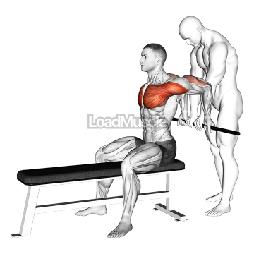 Assisted Sitting Reverse Shoulder Stretch