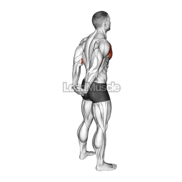 Standing Reverse Shoulder Stretch