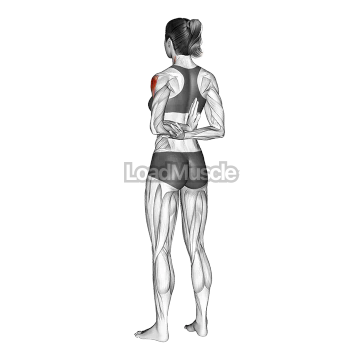 One Arm Shoulder Flexor Stretch