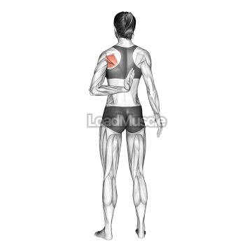 Reaching Up Shoulder Stretch