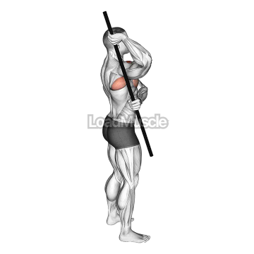 Arm Up Rotator Stretch