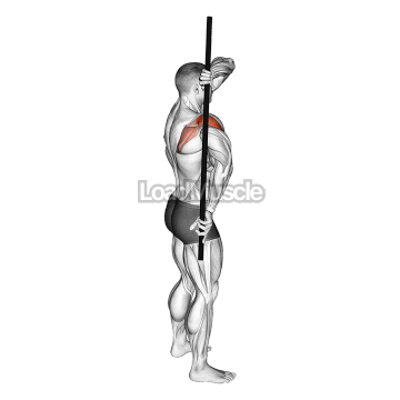 Arm Down Rotator Stretch