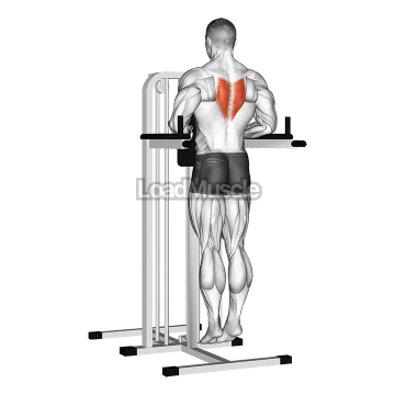 Depression In Parallel Bars Stretch