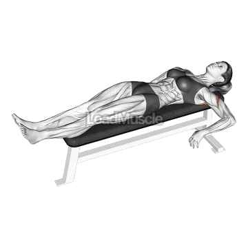 Internal Shoulder Rotation Stretch