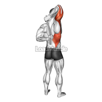 Shoulder Stretch With Towel Behind The Back