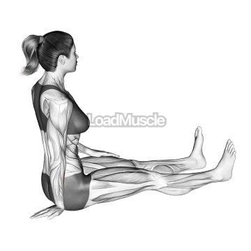 Seated Wrist Ulnar Deviator And Flexor Stretch