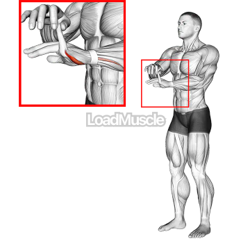 Finger Extension Stretch