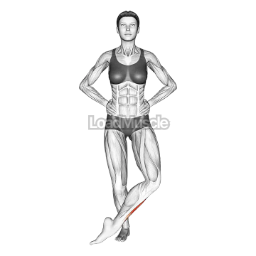 Front Cross Over Shin Stretch