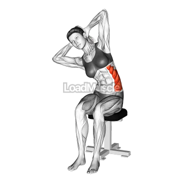 Seated Lower Trunk Lateral Flexor Stretch