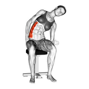 Sitting Lateral Side Stretch