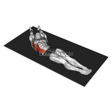 Lateral Bend Lying Down