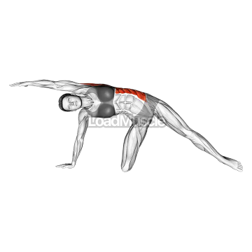 Lateral Bend On Floor By Kneeing