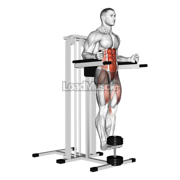 Weighted Captains chair leg raise