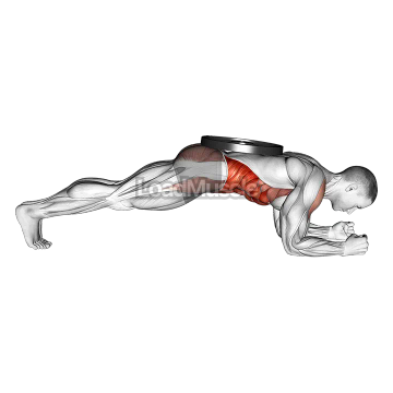 Weighted Front Plank